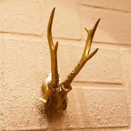 ホテル ザルツブルク ザルツブルク