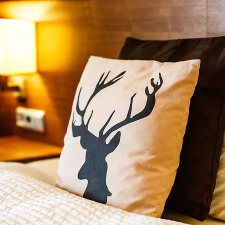 Hotell Hotel Salzburg 4*